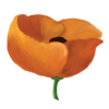 cropped-keigh-design-poppy-ONLY-1.png